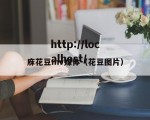 庥花豆mv媒体（花豆图片）